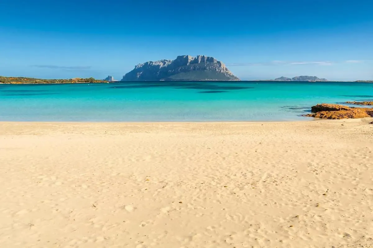 La Cala Apartment Olbia Italy